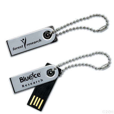 USBSM Memoria USB MicroSwing™ Drive SM